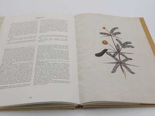 Codex Witsenii - ML Wilson First Edition 2002 | Namaqua Expedition 1685-86