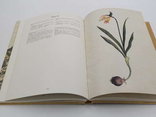 Codex Witsenii - ML Wilson First Edition 2002 | Namaqua Expedition 1685-86