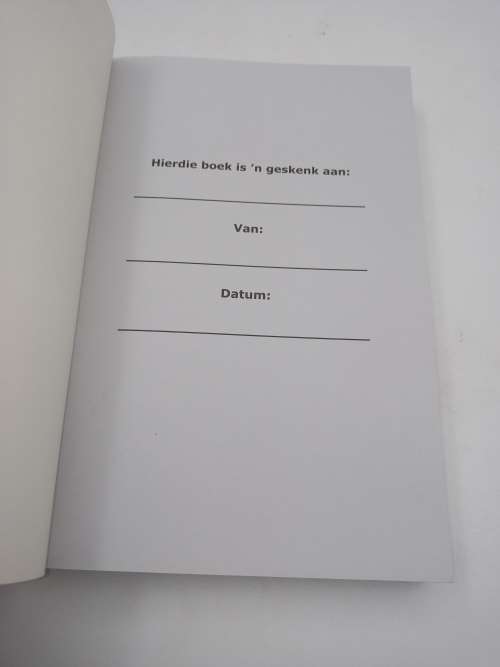 Bybelse Dagboek Vir Seuns - Hannes Burger
