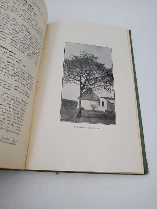 Some Trees, Shrubs and Lianes of Southern Rhodesia by EC Steedman | Rhodesiana
