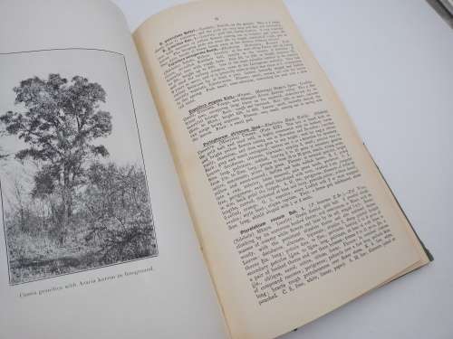 Some Trees, Shrubs and Lianes of Southern Rhodesia by EC Steedman | Rhodesiana