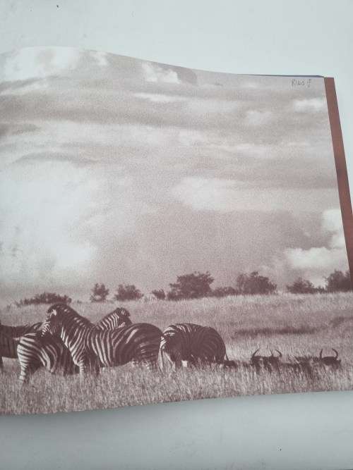 Mala Mala - Amanda Lumry and  Jamie Thom | Pathway to an African Eden