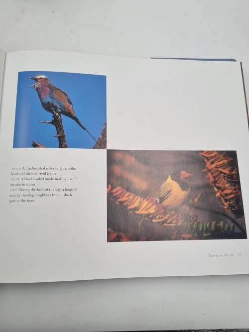 Mala Mala - Amanda Lumry and  Jamie Thom | Pathway to an African Eden