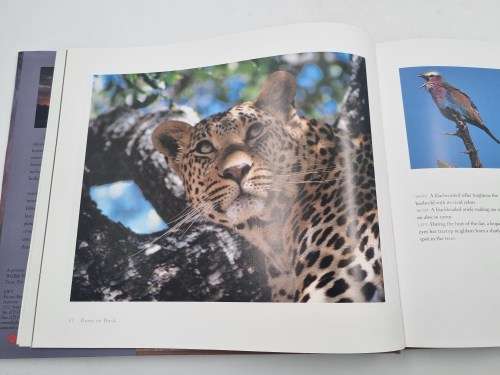 Mala Mala - Amanda Lumry and  Jamie Thom | Pathway to an African Eden