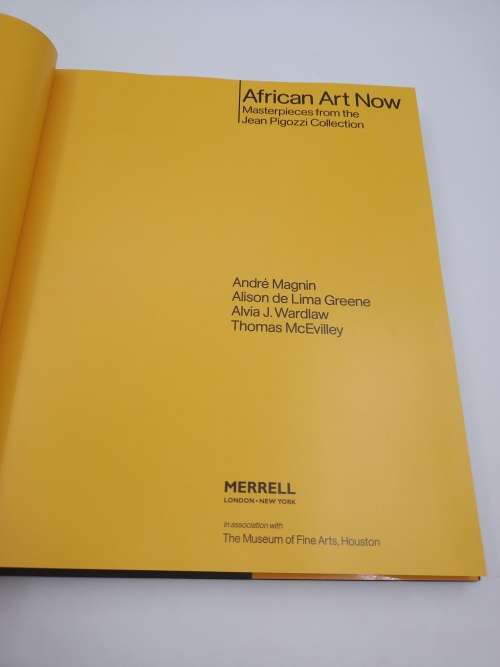 African Art Now: Masterpieces From the Jean Pigozzi Collection Andre Magnin et al