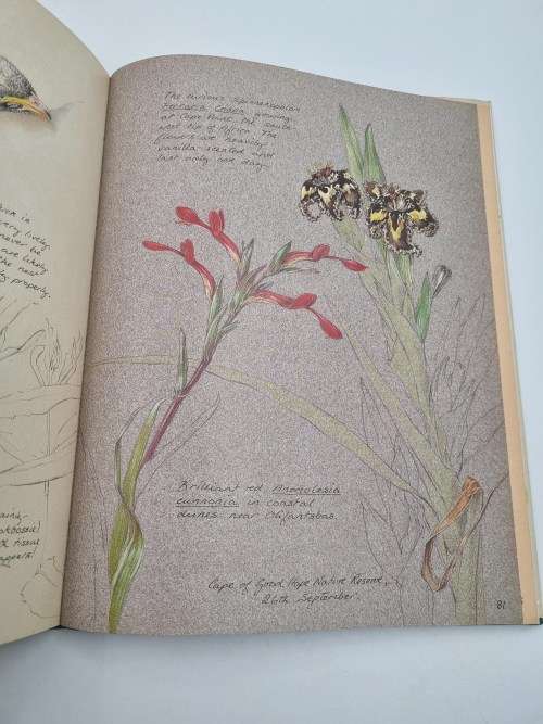 A Fynbos Year - Liz McMahon and Michael Fraser