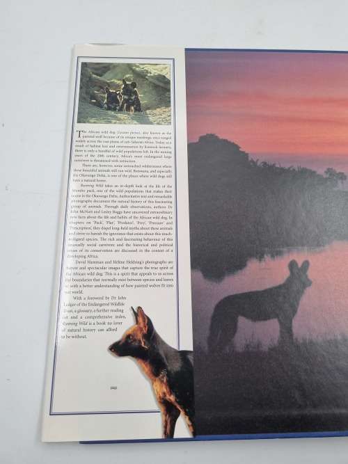 Running Wild - Helene Heldring and Dave Hamman | Dispelling the Myths of the Wild Dog