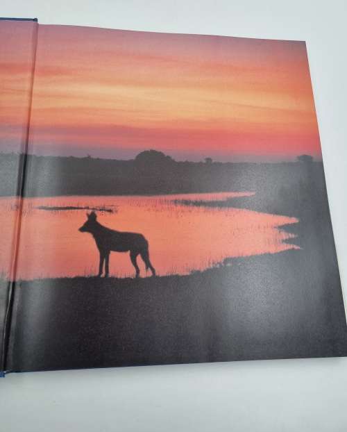 Running Wild - Helene Heldring and Dave Hamman | Dispelling the Myths of the Wild Dog