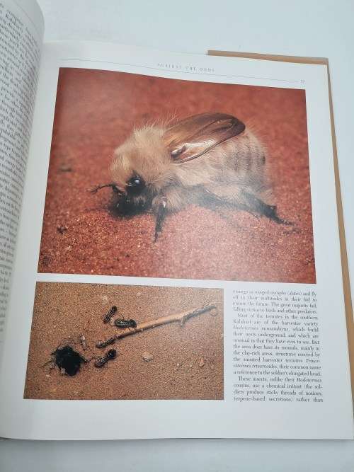 The Kalahari - Nigel Dennis and Peter Joyce | Survival in a Thirstland Wilderness