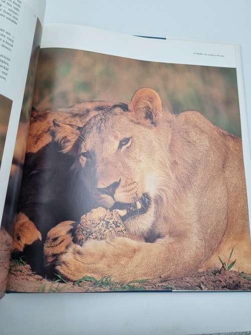 Chobe - Daryl and Sharna Balfour | Africa`s Untamed Wilderness