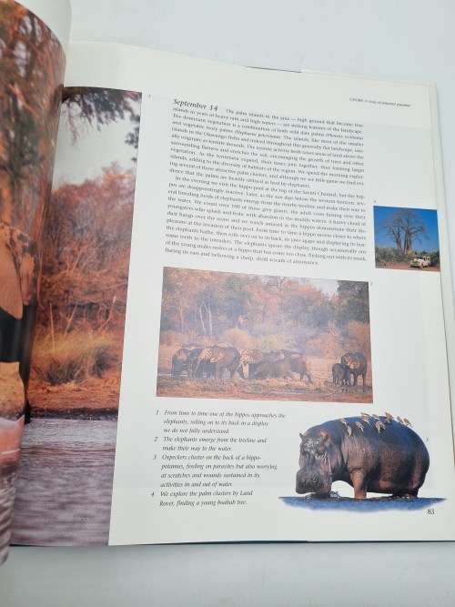 Chobe - Daryl and Sharna Balfour | Africa`s Untamed Wilderness