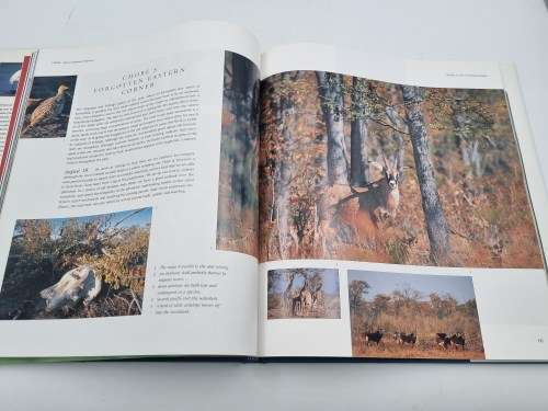 The Miracle Rivers - Peter and Beverly Pickford | The Okavango and Chobe of Botswana