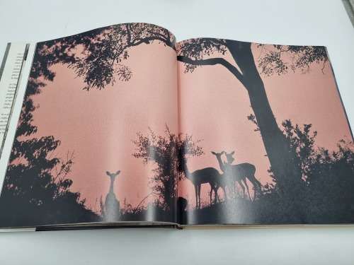 Namibia - Anthony Bannister and Peter Johnson | Africa`s Harsh Paradise