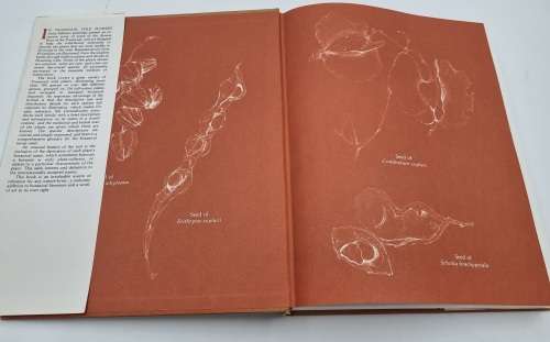 Transvaal Wild Flowers - Sighed by Anita Fabian