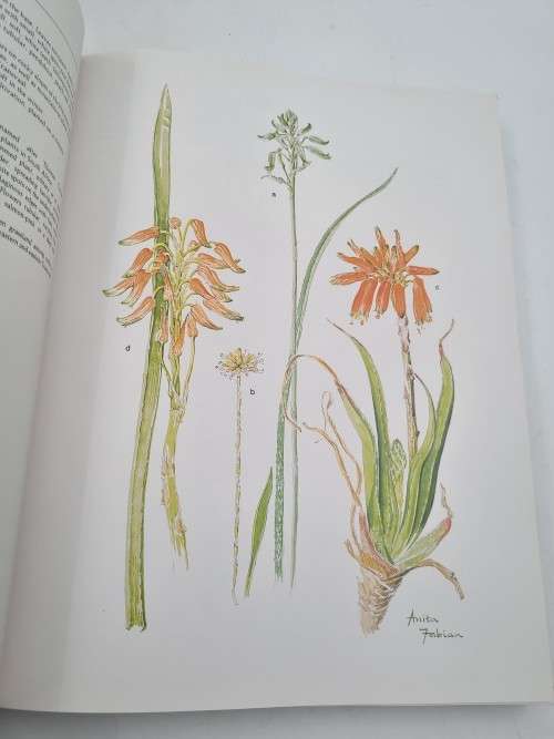 Transvaal Wild Flowers - Sighed by Anita Fabian