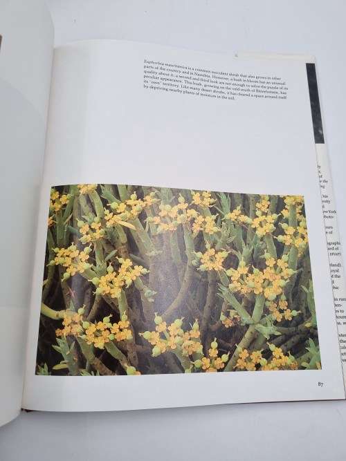 South Africas Proteaceae Know them and Grow them - Marie Vogt
