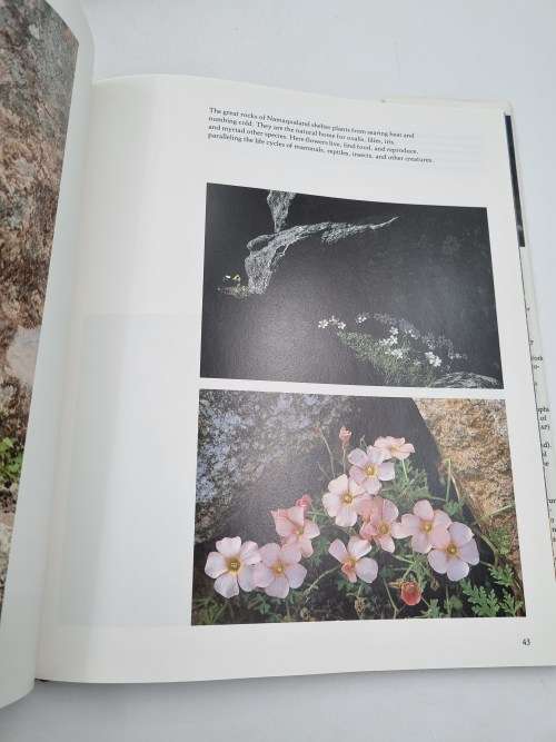 South Africas Proteaceae Know them and Grow them - Marie Vogt