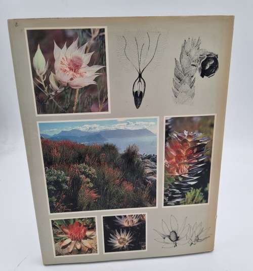 South Africas Proteaceae Know them and Grow them - Marie Vogt
