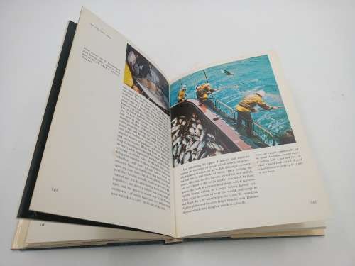 Life in the Oceans by Joseph Lucas and Pamela Critch