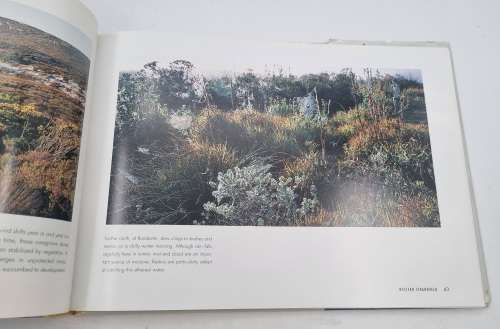 Natural Diversity of the Cape Peninsula by Stephan Wolfart