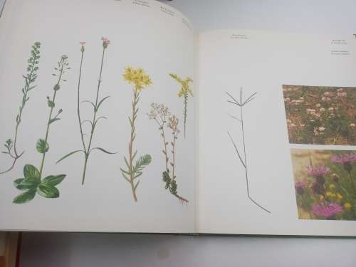 Wilde Planten. Flora en Vegetatie in onze Natuurgebieden Deel 1, 2 en 3