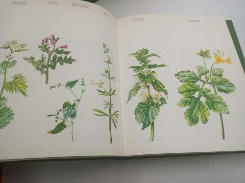 Wilde Planten. Flora en Vegetatie in onze Natuurgebieden Deel 1, 2 en 3