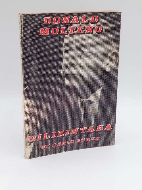 Donald Molteno ~ Dilinzintaba  He who removes mountains - David Scher