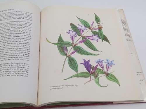 The Complete Flower Paintings and Drawings of Graham Stuart Thomas by Sir George Taylor