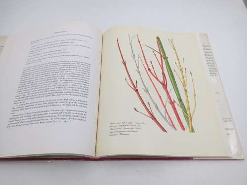 The Complete Flower Paintings and Drawings of Graham Stuart Thomas by Sir George Taylor