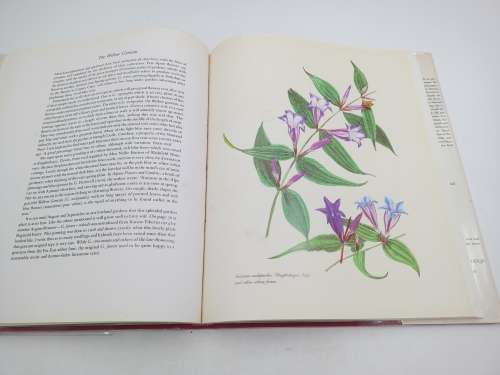 The Complete Flower Paintings and Drawings of Graham Stuart Thomas by Sir George Taylor