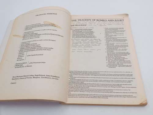 X-Kit Romeo and Juliet and Bankside Romeo and Juliet  ~ Shakespeare 2 Guides