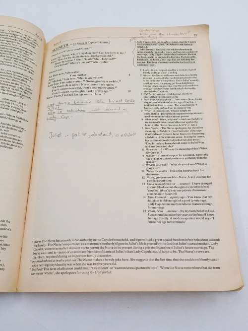 X-Kit Romeo and Juliet and Bankside Romeo and Juliet  ~ Shakespeare 2 Guides