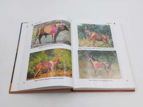 Jag in Afrika `n Praktiese gids  ~P L Smit, G P Swan, D J Botes