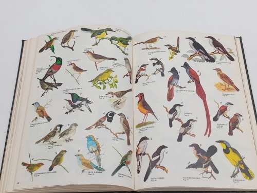The Sandton Field Book Sponsors Edition No 30/50 | Natural History of the Northern Witwatersrand