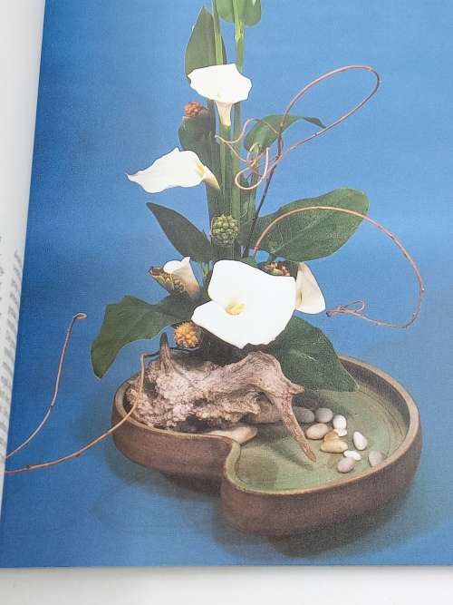 Rangskik met inheemse blomme - Elize Van der Merwe