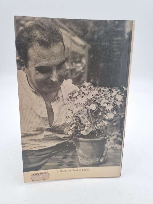 Pelargoniums. A Complete Guide to their Cultivation by Henry J Wood