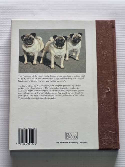 The Pug - Nancy Tarbitt