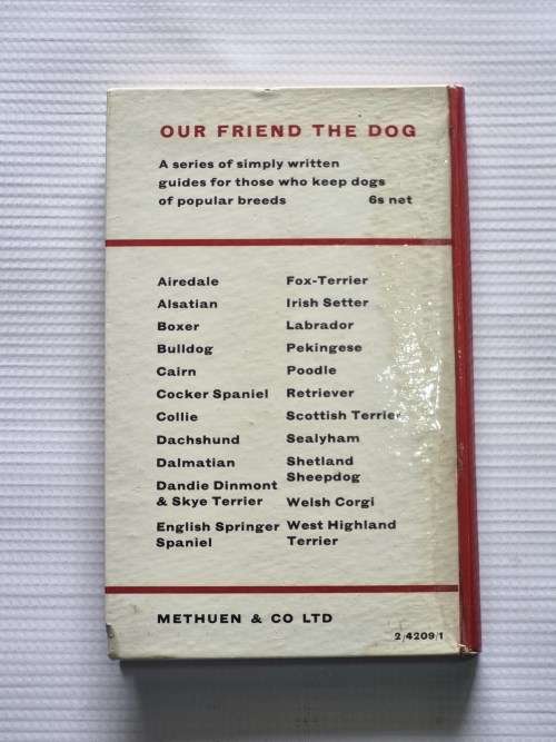 Our Friend the Fox-Terrier - Rowland Johns
