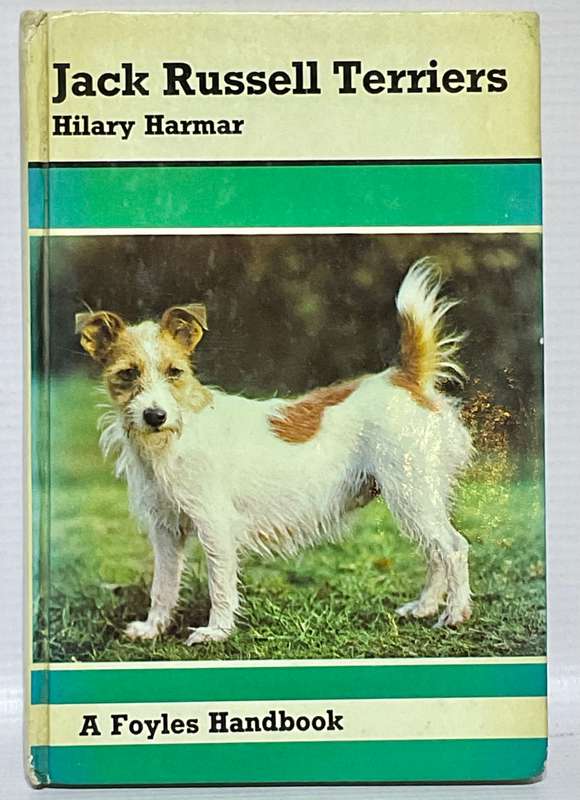 Jack Russell Terriers