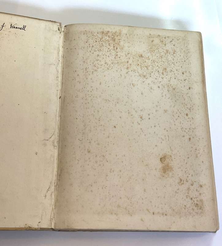 The Prince Of Wales African Book