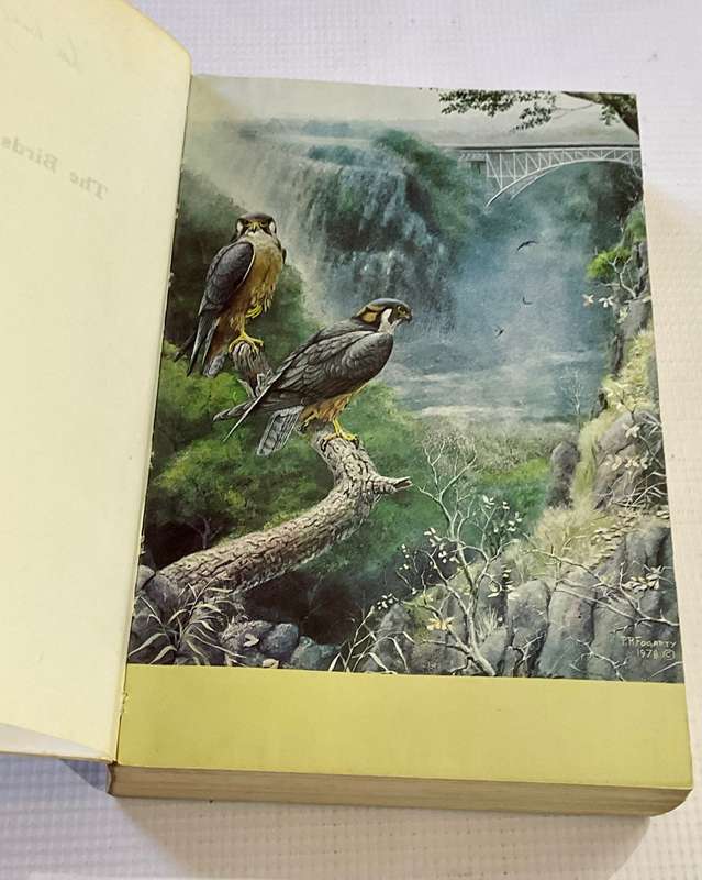 The Birds of Zimbabwe by Michael P Stuart Irwin Soft Cover 1987 | Rhodesiana