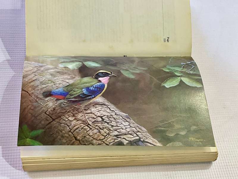 The Birds of Zimbabwe by Michael P Stuart Irwin Soft Cover 1987 | Rhodesiana