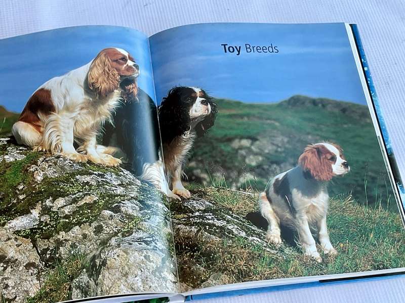 The Encyclopedia of the Dog