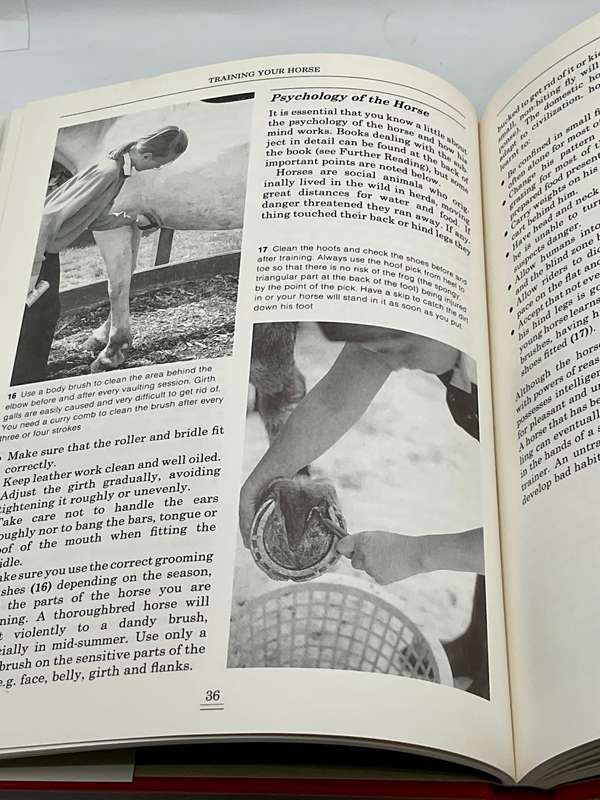 Vaulting: Develop Your Riding and Gymnastic Skills ~ Ann Sagar