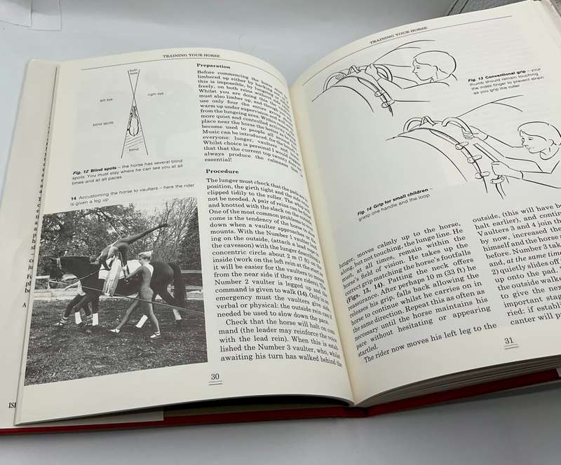 Vaulting: Develop Your Riding and Gymnastic Skills ~ Ann Sagar