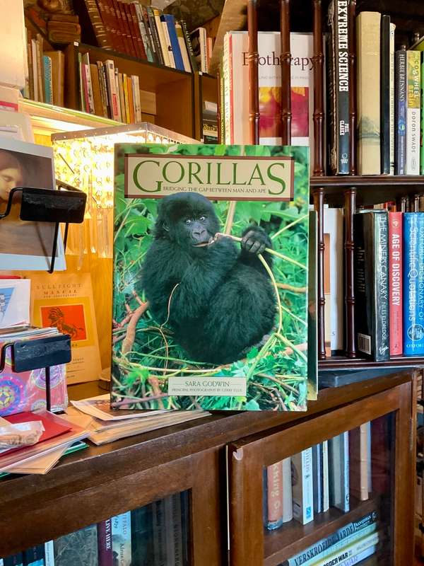 Gorillas by Sara Godwin and Gerry Ellis | Bridging the Gap Between Man and Ape