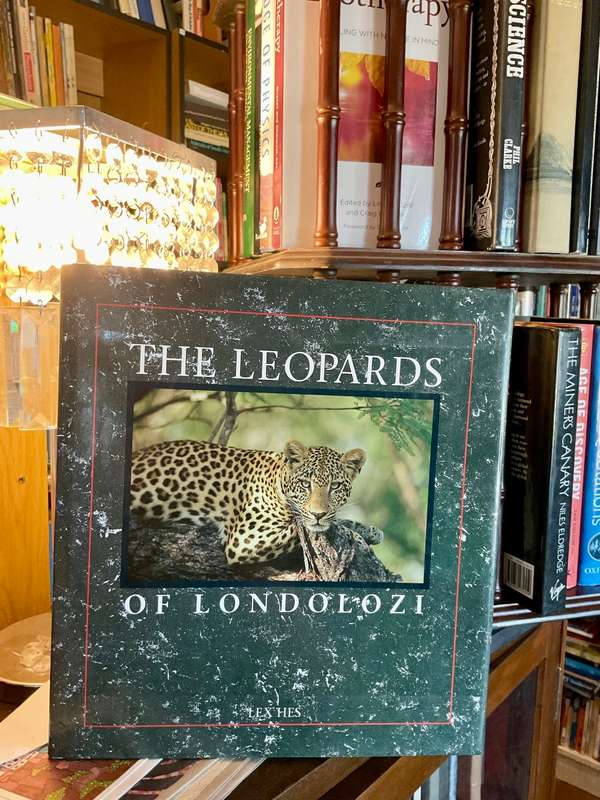 The Leopards of Londolozi by Lex Hes