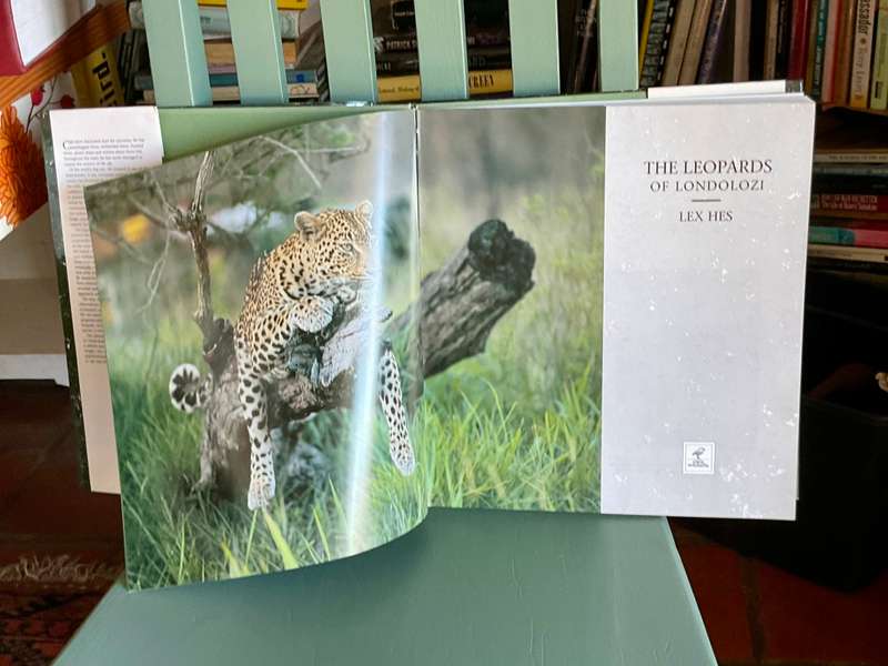 The Leopards of Londolozi by Lex Hes