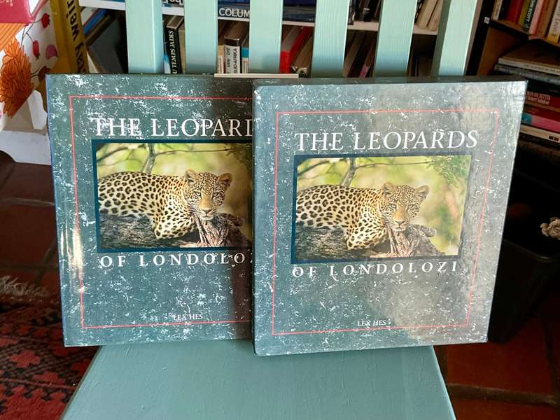 The Leopards of Londolozi by Lex Hes