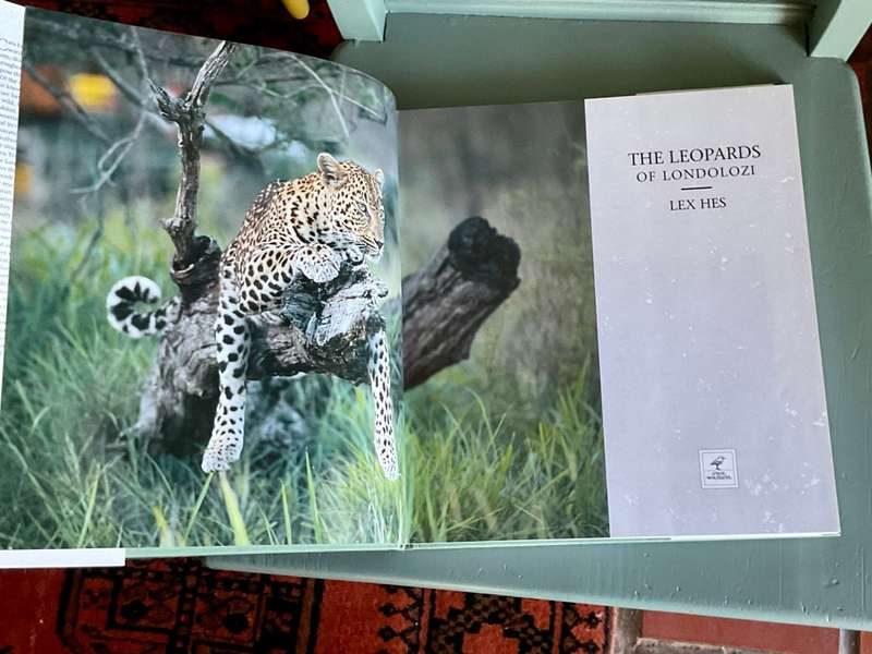 The Leopards of Londolozi by Lex Hes